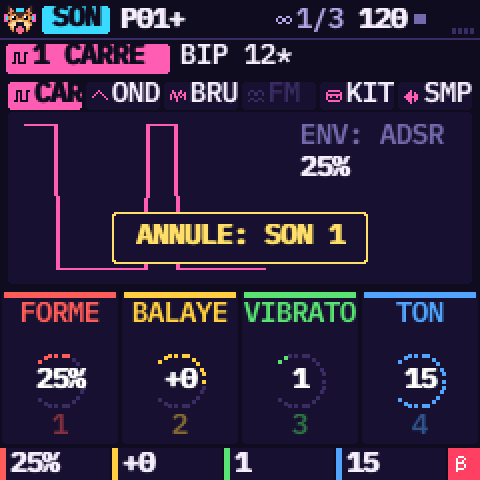 BIP 12* revenu, le message ANNULE: SON 1